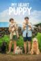 Nonton Film My Heart Puppy (2023) Terbaru