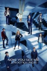 Now You See Me Now You Don’t (2025)